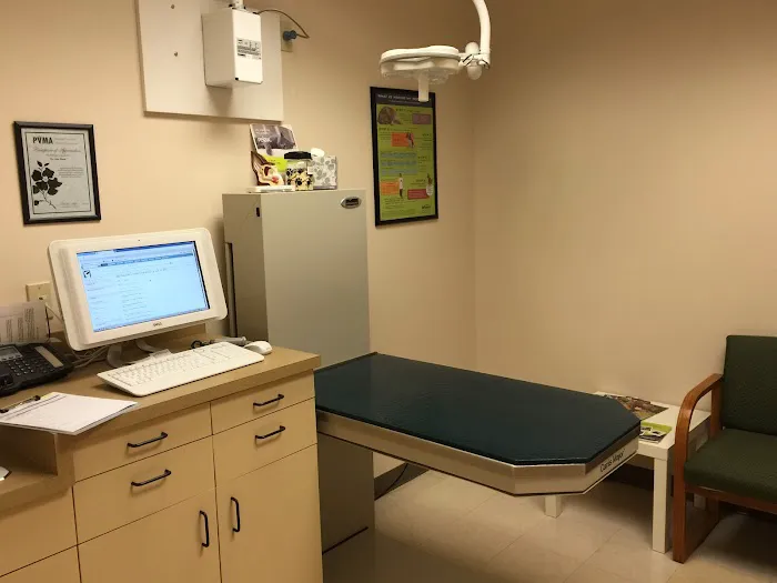 Animal Dermatology Clinic 8