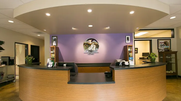 Oregon Veterinary Dental Specialists 4