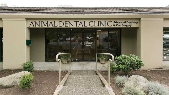 Oregon Veterinary Dental Specialists 10