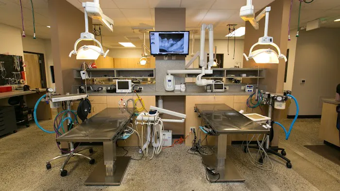 Oregon Veterinary Dental Specialists 3