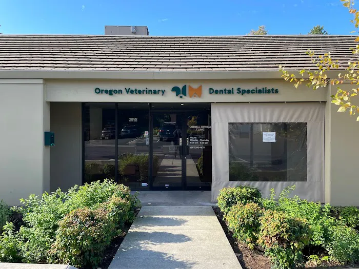 Oregon Veterinary Dental Specialists 8