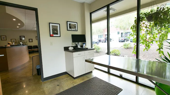 Oregon Veterinary Dental Specialists 7