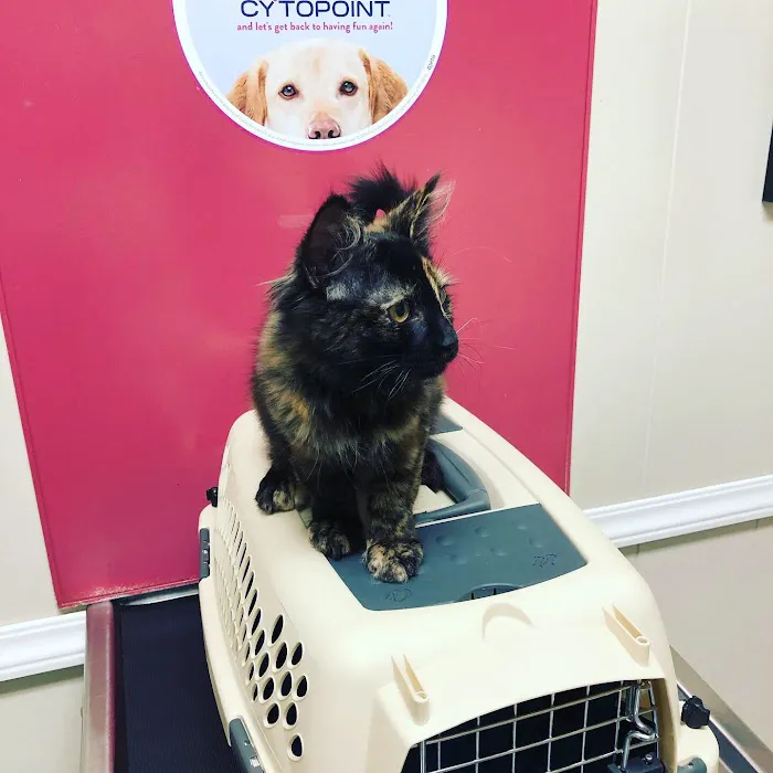 Cowlitz Animal Clinic 12