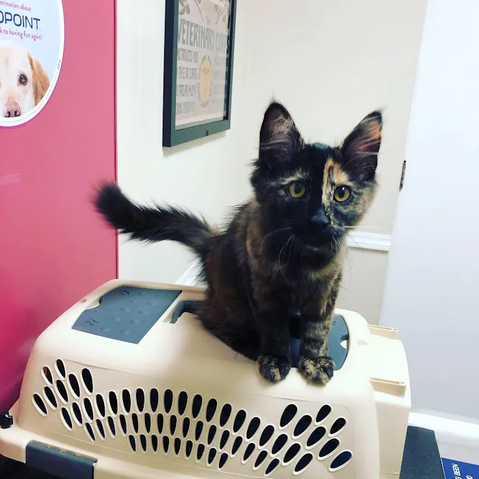 Cowlitz Animal Clinic 12