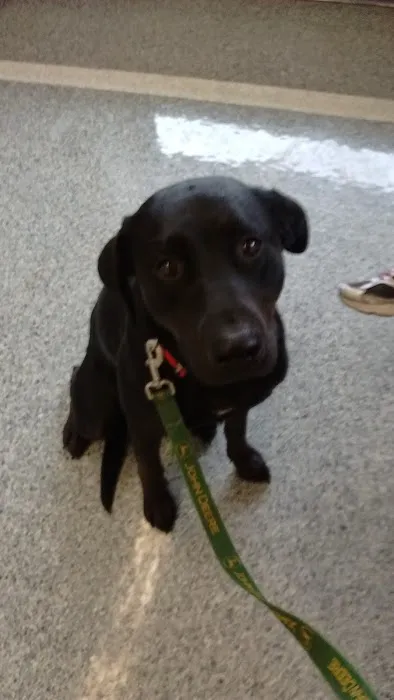 Cowlitz Animal Clinic 12