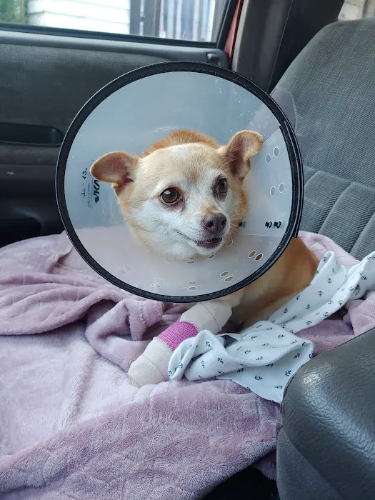 Cowlitz Animal Clinic 12