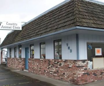 Dr. Katie Stephens, DVM
