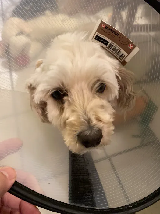 Lower Columbia Veterinary Clinic 12