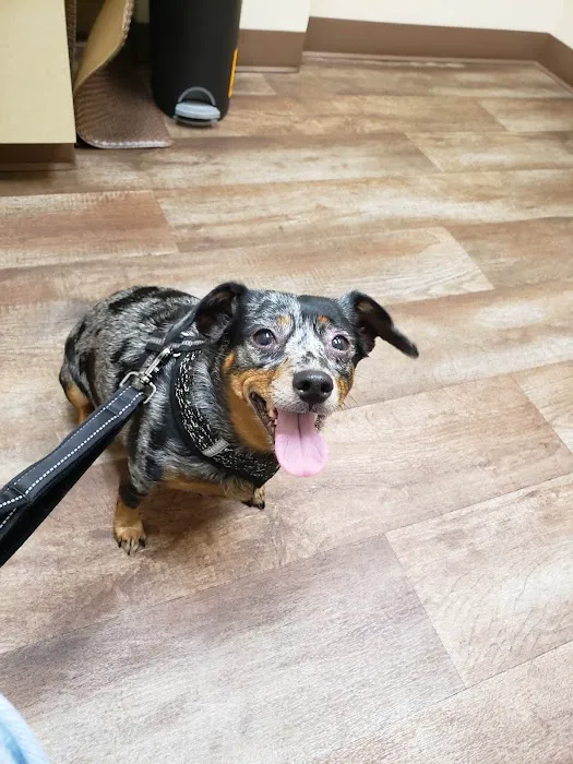 Lower Columbia Veterinary Clinic 12