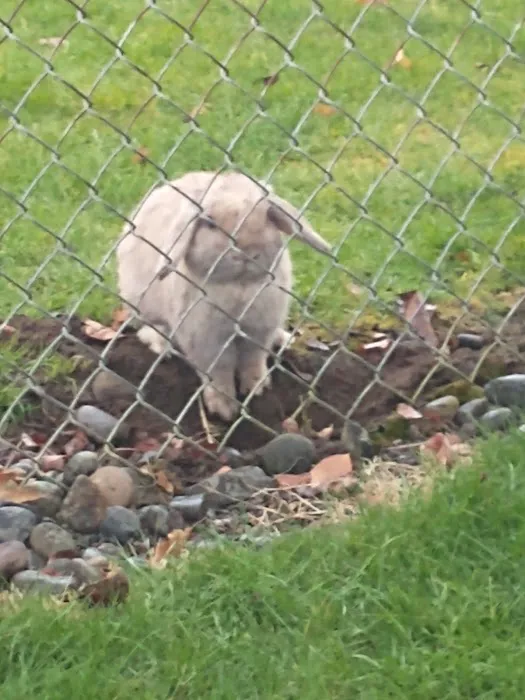 Riverside Animal Hospital 12