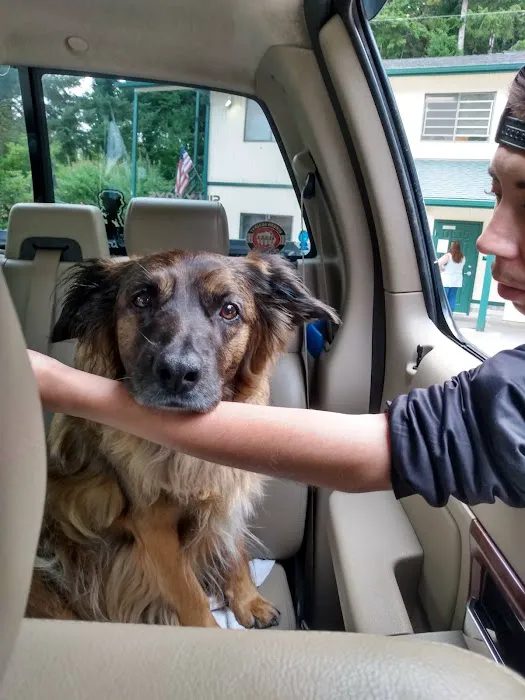 Riverside Animal Hospital 12