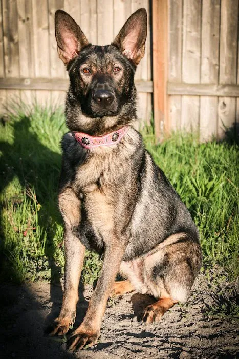Riverside Animal Hospital 12