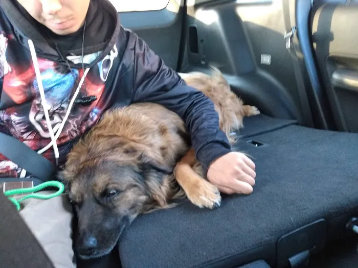 Riverside Animal Hospital 12