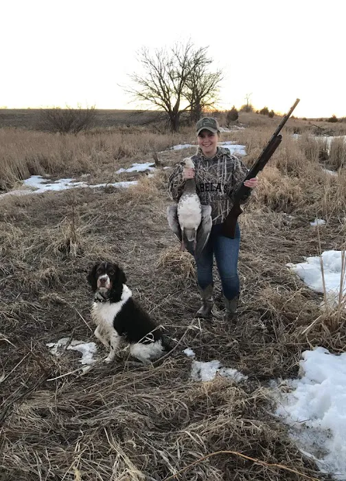 Dakotaland Springers 12