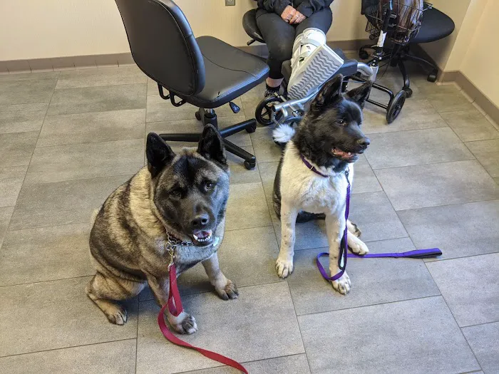 Gresham Animal Hospital 7