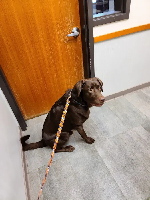 Gresham Animal Hospital 8