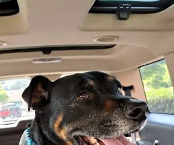 Banfield Pet Hospital