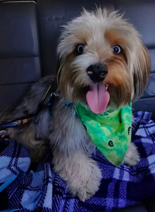 Banfield Pet Hospital 2