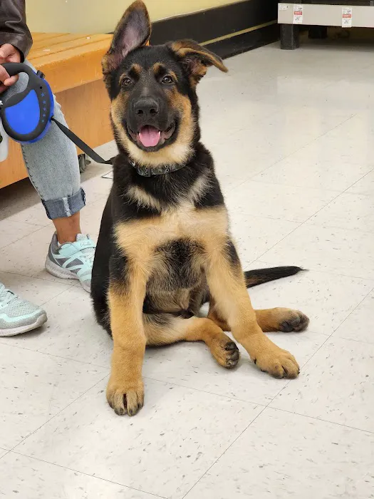 Banfield Pet Hospital 6