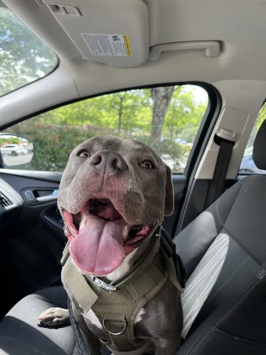 Banfield Pet Hospital 4