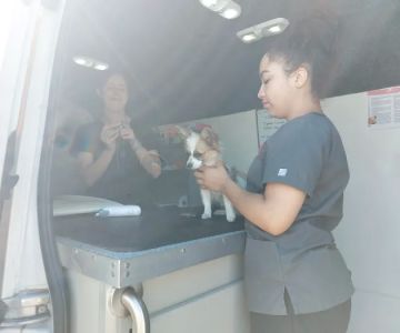 Good Neighbor Vet