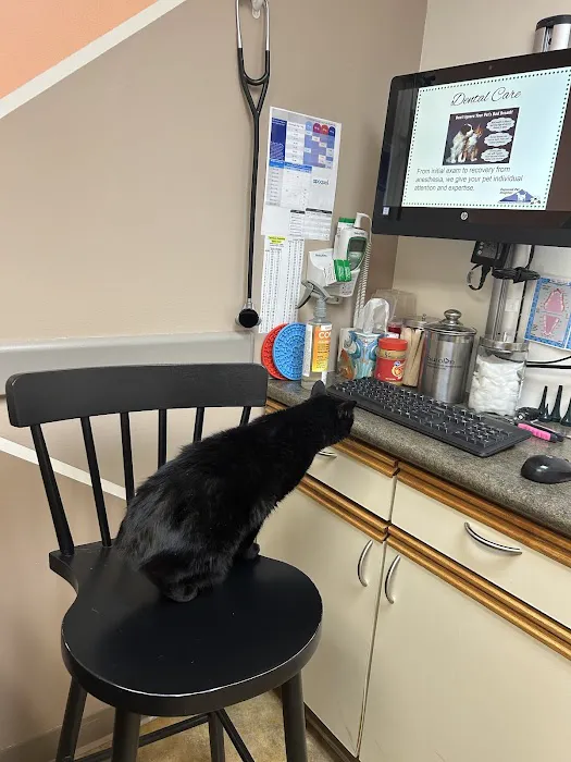 Dogwood Pet Hospital 2
