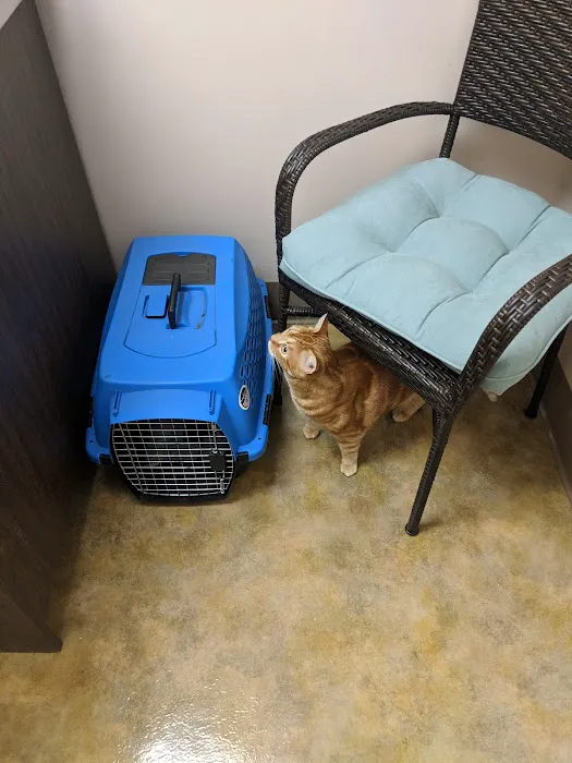 Dogwood Pet Hospital 5
