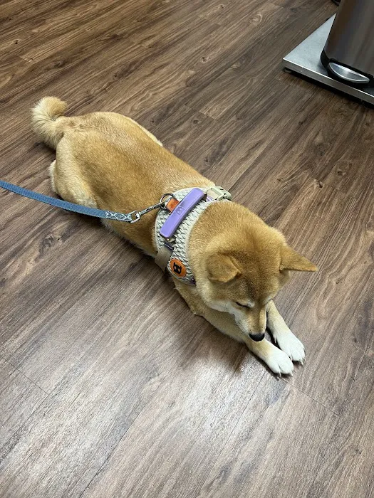 Mt. Hood Pet Medical 8