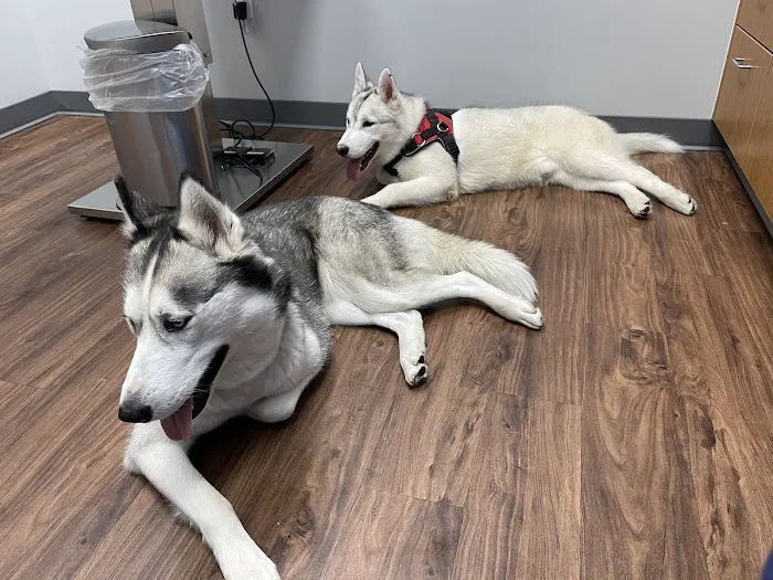 Mt. Hood Pet Medical 1