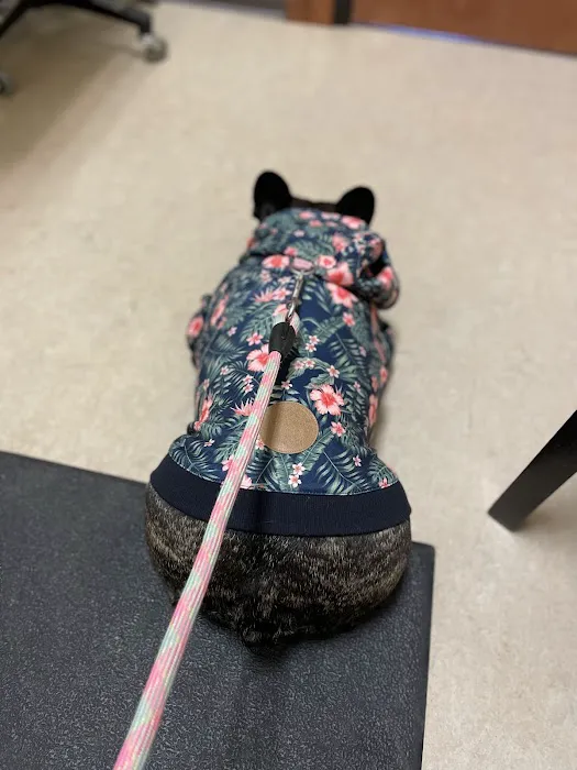 Mt. Hood Pet Medical 7