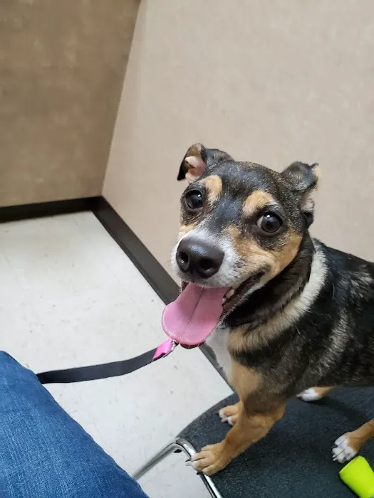 Companion Pet Clinic 8