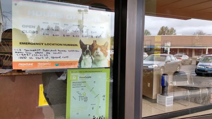 Companion Pet Clinic 6