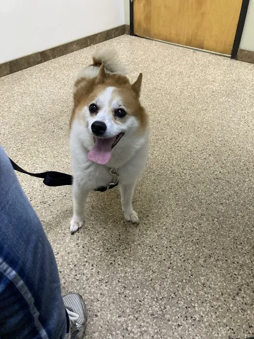 Paws & Claws Pet Medical Center 2