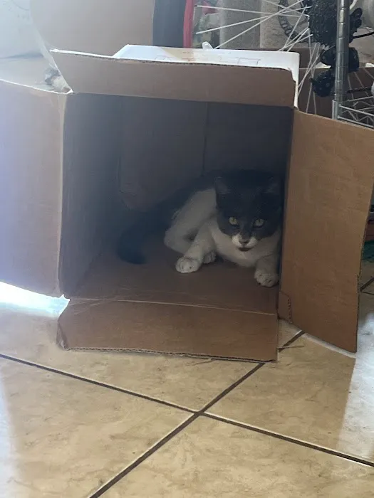 Family Pet Clinic 12