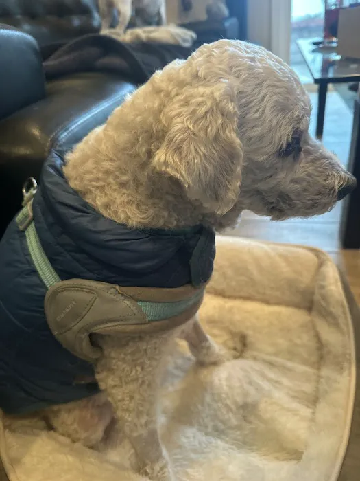 Family Pet Clinic 12