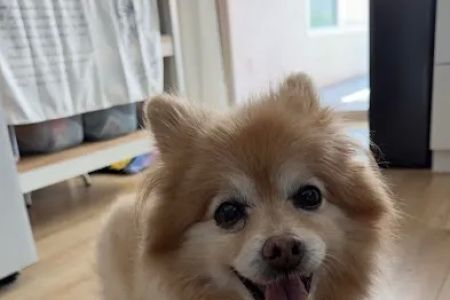 Family Pet Clinic