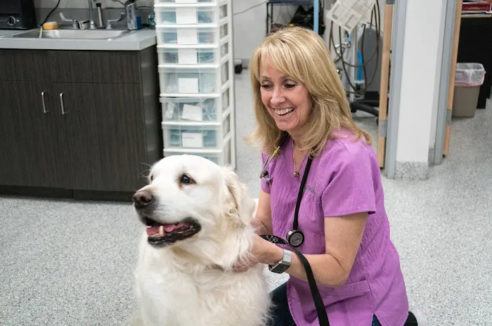 Anaheim Hills Pet Clinic 12