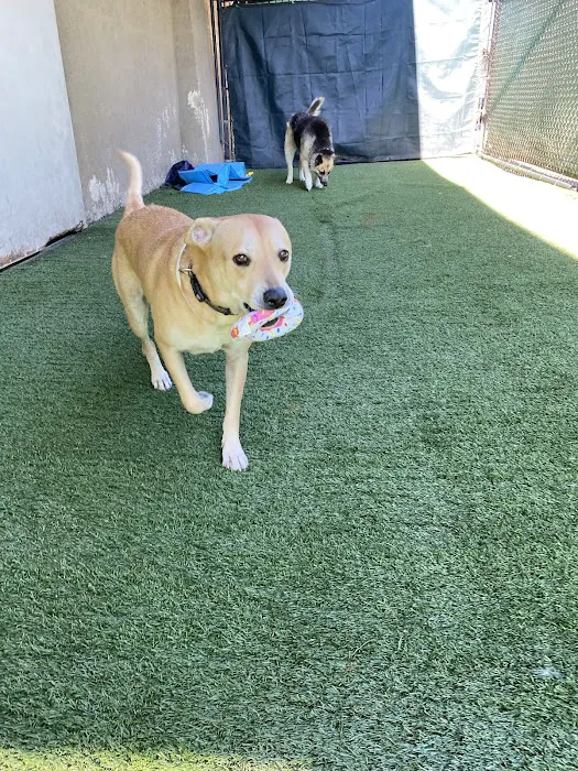 Anaheim Hills Pet Clinic 12