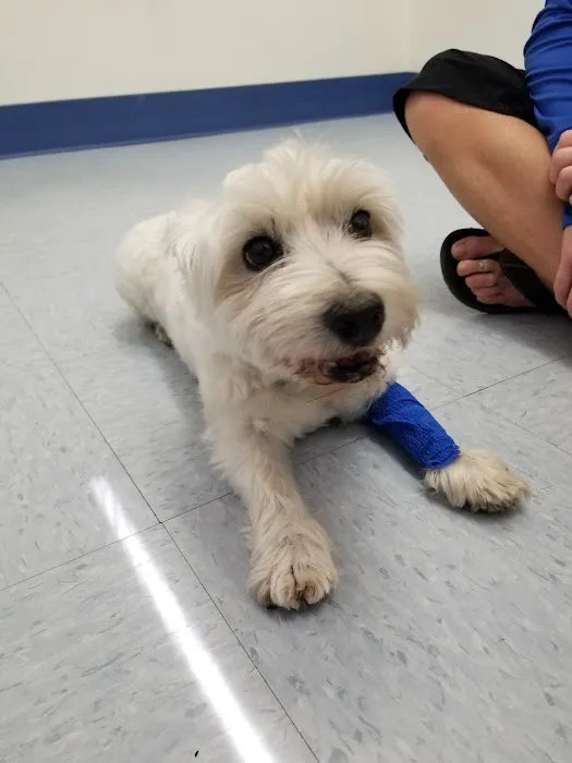 Paws N Claws Veterinary Hospital 1