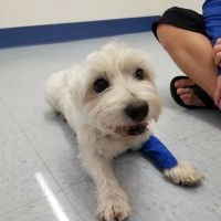 Paws N Claws Veterinary Hospital ico