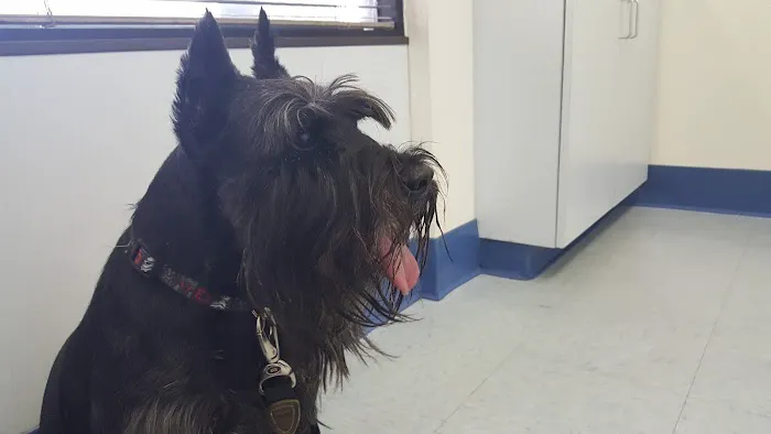 Paws N Claws Veterinary Hospital 4