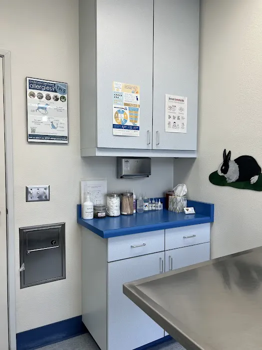 Paws N Claws Veterinary Hospital 3