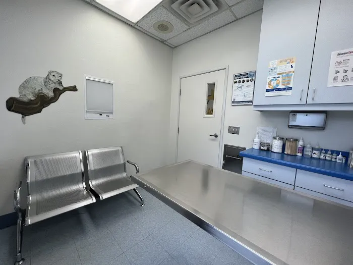 Paws N Claws Veterinary Hospital 7
