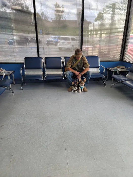 Paws N Claws Veterinary Hospital 10