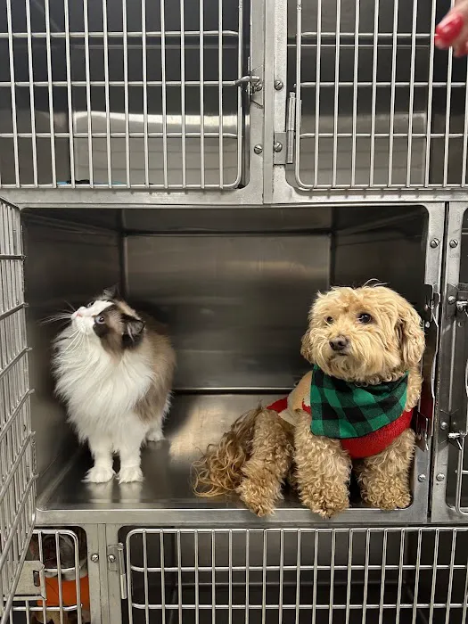 Yorba Linda Pet Care Center 6