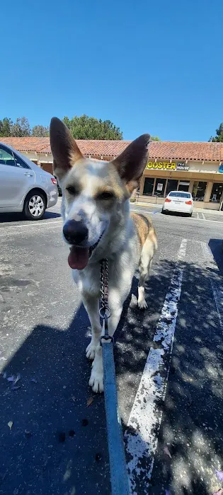 Yorba Linda Pet Care Center 2