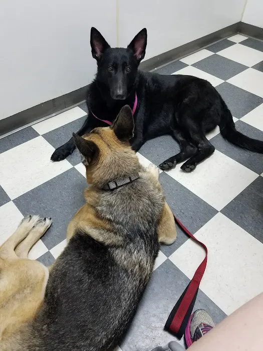 Yorba Linda Pet Care Center 7