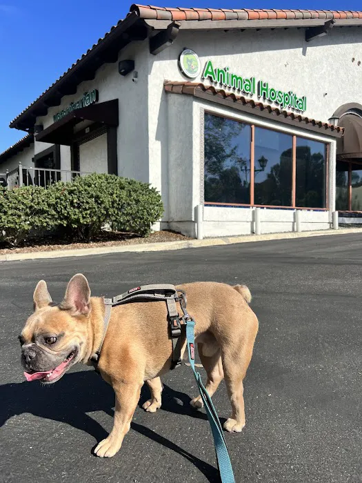 Better Health Animal Hospital 4