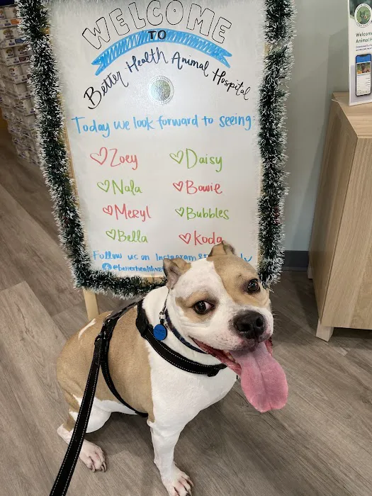 Better Health Animal Hospital 6