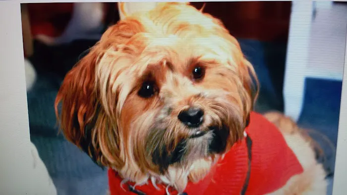 Mariners Mile Pet Clinic 12